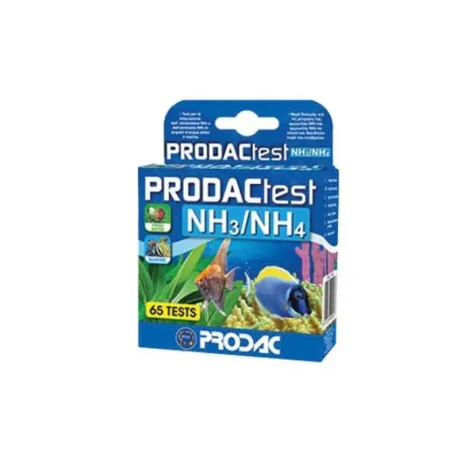 אמוניום/אמוניה