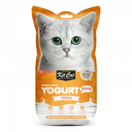 חטיפי Kit Cat לחתולים בטעם דלעת