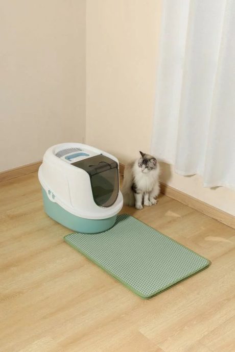 שטיחון חול לחתולים