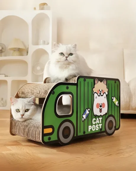 משטח גירוד בצורת מכונית