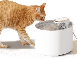 pet water dispenser
