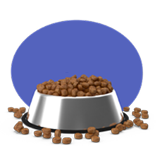 מזון יבש - Dry Food כלבים