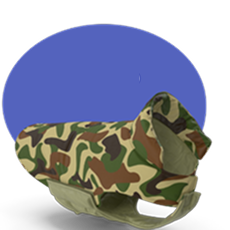 ביגוד לכלבים