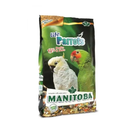 manitoba bird 2k