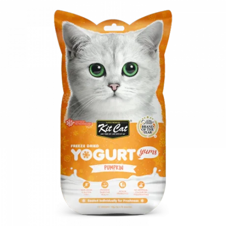 Kit Cat חטיפי חתולים בטעם דלעת