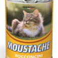 MOUSTACHE
