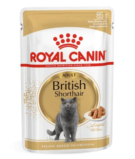 Royal Canin Persian Adult Cat Food - 85 gm