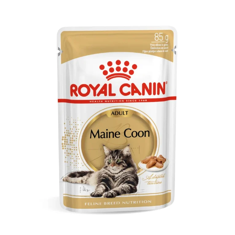 buy-royal-canin-maine-coon-adult-wet-online_1400x